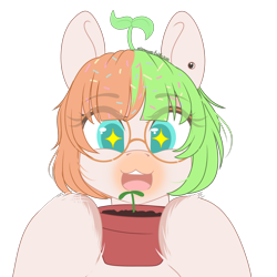 Size: 2000x2000 | Tagged: safe, artist:xcinnamon-twistx, oc, oc only, oc:vein, earth pony, pony, bust, glasses, hair accessory, high res, plant, portrait, pot, simple background, solo, sprout, transparent background, unshorn fetlocks