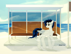 Size: 4316x3276 | Tagged: safe, artist:teturirusu, oc, oc only, oc:dia, pegasus, pony, bus stop, butt, commission, concave belly, looking at something, male, ocean, pegasus oc, piercing, plot, sky, slender, solo, thin, unshorn fetlocks, waiting, water, wings, ych result