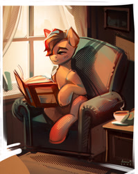 Size: 2329x2931 | Tagged: safe, artist:annna markarova, oc, oc only, pony, book, chair, commission, cup, high res, male, reading, solo, teacup, window