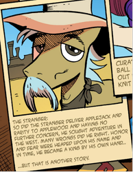 Size: 480x620 | Tagged: safe, artist:andy price, idw, official comic, the stranger, earth pony, pony, friends forever #8, g4, my little pony: friends forever, spoiler:comic, facial hair, male, moustache, stallion