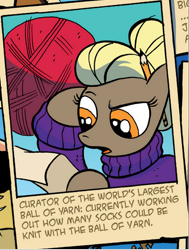 Size: 466x617 | Tagged: safe, artist:andy price, idw, official comic, yarnette, earth pony, pony, friends forever #8, g4, my little pony: friends forever, spoiler:comic, blonde, clothes, sweater, yarn, yarn ball