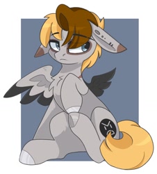 Size: 1330x1468 | Tagged: safe, artist:cinnamontee, oc, oc only, oc:sunny (lrusu), hybrid, mule, pegamule, pegasus, pony, chest fluff, eye clipping through hair, eyebrows, eyebrows visible through hair, floppy ears, passepartout, sitting, solo, wings