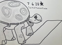 Size: 2006x1450 | Tagged: safe, artist:mlpfantealmintmoonrise, tank, tortoise, g4, may the best pet win, animal, atg 2023, finish line, newbie artist training grounds, pen drawing, pencil drawing, photo, traditional art