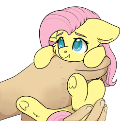 Size: 2148x2136 | Tagged: safe, artist:rokosmith26, fluttershy, human, pegasus, pony, g4, cheek fluff, commission, cute, female, floppy ears, hand, high res, holding, holding a pony, in goliath's palm, light skin, looking up, mare, shyabetes, simple background, size difference, smol, solo, transparent background, underhoof, ych example, your character here