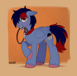 Size: 5102x5013 | Tagged: safe, artist:birdoffnorth, oc, oc only, oc:dawn chaser, pegasus, pony, g4, blushing, collar, colored hooves, commission, fetish, floppy ears, g4 style, leash, looking at you, male, male oc, mouth hold, pegasus oc, pet play, shy, simple background, smiling, smiling at you, solo, stallion, stallion oc, standing, submissive, tail, two toned mane, two toned tail, unshorn fetlocks, wings