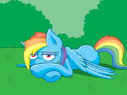 Size: 520x390 | Tagged: safe, artist:thenose90, rainbow dash, pegasus, pony, g4, bored, crossed hooves, doodle or die, female, grass, grass field, lidded eyes, lying down, mare, outdoors, prone, solo