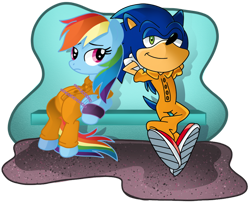 Size: 990x808 | Tagged: safe, artist:pinkandorangesunset, rainbow dash, hedgehog, pegasus, pony, g4, bound wings, chained, chains, clothes, crossover, crossover shipping, duo, female, jumpsuit, male, prison outfit, prisoner, prisoner rd, shipping, sonic the hedgehog, sonic the hedgehog (series), sonicdash, straight, wings