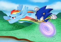 Size: 1081x739 | Tagged: safe, artist:pinkandorangesunset, rainbow dash, hedgehog, pegasus, pony, g4, crossover, crossover shipping, female, male, race, shipping, sonic the hedgehog, sonic the hedgehog (series), sonicdash, straight