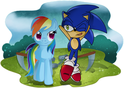 Size: 1058x755 | Tagged: safe, artist:pinkandorangesunset, rainbow dash, hedgehog, pegasus, pony, g4, crossover, crossover shipping, female, male, shipping, sonic the hedgehog, sonic the hedgehog (series), sonicdash, straight