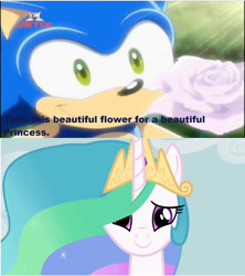 Size: 842x949 | Tagged: safe, artist:brandonale, edit, edited screencap, screencap, princess celestia, alicorn, hedgehog, pony, g4, episode needed, female, flower, male, sonic the hedgehog, sonic the hedgehog (series), sonic x