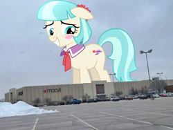 Size: 2048x1536 | Tagged: safe, anonymous editor, artist:dashiesparkle, edit, coco pommel, earth pony, pony, g4, blushing, female, floppy ears, giant pony, giantess, highrise ponies, indiana, irl, macro, macy's, mare, mishakawa, necktie, photo, ponies in real life, smiling, solo