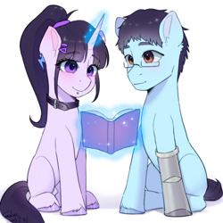 Size: 2048x2048 | Tagged: safe, artist:xiaowu07, oc, oc only, earth pony, pony, unicorn, amputee, book, collar, disabled, duo, duo male and female, female, glasses, high res, magic, male, mare, ponytail, prosthetic limb, prosthetics, shipping, simple background, sitting, smiling, stallion, straight, white background