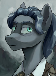 Size: 2028x2730 | Tagged: safe, artist:fly over, oc, oc only, oc:abba povner, earth pony, pony, equestria at war mod, bust, high res, looking away, male, portrait