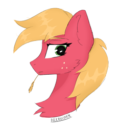 Size: 2492x2673 | Tagged: safe, artist:hlebushek, big macintosh, earth pony, pony, g4, bust, high res, male, portrait, simple background, solo, stallion, white background