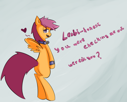 Size: 1280x1024 | Tagged: safe, artist:ineedanaccount, scootaloo, pegasus, pony, g4, 2013, collar, dialogue, heart, lesboloo, pun, solo, standing on two hooves