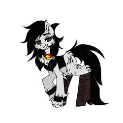 Size: 1280x1280 | Tagged: safe, artist:moodipone, oc, oc only, oc:double m, earth pony, pony, bell, bell collar, black mane, black tail, boots, brown eyes, cheek fluff, chest fluff, clothes, collar, crossdressing, earth pony oc, eyelashes, femboy, fluffy, jacket, looking at you, male, pony oc, shoes, simple background, smiling, smiling at you, solo, stallion, stallion oc, tail, white background, white coat, wingding eyes