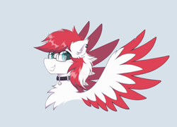 Size: 1864x1339 | Tagged: safe, alternate version, artist:rieyadraws, oc, oc only, oc:driftbeat, pegasus, pony, chest fluff, collar, colored wings, colored wingtips, ear fluff, ear piercing, looking at you, male, piercing, smiling, smiling at you, spread wings, stallion, wings