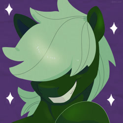 Size: 750x750 | Tagged: safe, artist:talimingi, oc, oc only, earth pony, pony, grin, hair over eyes, looking at you, male, purple background, simple background, smiling, smiling at you, solo, sparkles, stallion