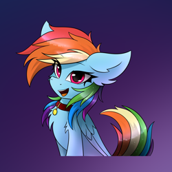Size: 1300x1300 | Tagged: safe, artist:rejiser, rainbow dash, pegasus, pony, g4, black background, chest fluff, collar, ears back, gradient background, halfbody, looking at you, open mouth, open smile, pet tag, pet-dash, pony pet, smiling, solo, tail, wings