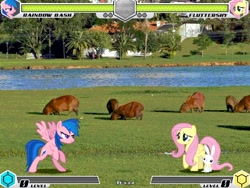 Size: 994x746 | Tagged: safe, artist:tom artista, angel bunny, firefly, fluttershy, rainbow dash, capybara, pegasus, pony, rabbit, fighting is magic, g1, g4, animal, bipedal, curitiba, fan game, female, grass, houses, lake, male, mare, new, palette swap, real life background, recolor, stage, tree, trio, water