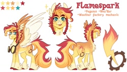Size: 1481x847 | Tagged: safe, artist:wanderingpegasus, oc, oc only, pegasus, pony, blaze (coat marking), body freckles, braid, chest fluff, coat markings, colored hooves, colored pinnae, colored wings, eyebrows, eyebrows visible through hair, facial markings, feathered ears, feathered fetlocks, female, freckles, goggles, heart, heart mark, mare, multicolored mane, multicolored tail, multicolored wings, pale belly, pegasus oc, reference sheet, simple background, smiling, snip (coat marking), socks (coat markings), solo, spread wings, stripes, tail, white background, wings