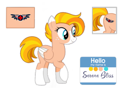 Size: 955x717 | Tagged: safe, artist:firehearttheinferno, oc, oc only, oc:serene bliss, pegasus, pony, fallout equestria, blaze (coat marking), blue eyes, coat markings, color palette, colored wings, cute, cutie mark, digital art, eyelashes, facial markings, fallout equestria oc, fanfic art, female, freckles, mare, medic, medical officer, multicolored hair, multicolored mane, multicolored tail, name tag, orange mane, orange tail, pegasus oc, reference sheet, shadowbolts, simple background, smiling, socks (coat markings), solo, tail, transparent background, wings, yellow mane, yellow tail