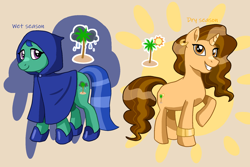 Size: 1800x1200 | Tagged: safe, earth pony, pony, unicorn, blue tail, bracelet, brown eyes, brown mane, cloak, clothes, dry season, ear piercing, earring, hood, jewelry, piercing, purple eyes, seasons, solo, tail, tropical, wet season