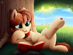 Size: 2900x2200 | Tagged: safe, artist:rainbowfire, oc, oc only, earth pony, insect, ladybug, pony, book, clothes, cloud, cute, female, field, fluffy, grass, grin, high res, insect on someone, jewelry, leaves, legs, mare, open mouth, raised hoof, raised leg, reading, resting, scarf, smiling, solo, summer, sun, tree