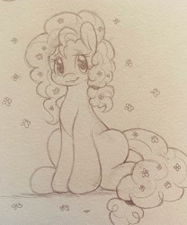 Size: 1707x2048 | Tagged: safe, artist:tamabel, pear butter, earth pony, pony, g4, female, looking at you, mare, sitting, sketch, solo, traditional art