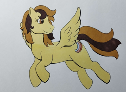 Size: 2527x1835 | Tagged: safe, artist:darkhestur, oc, oc only, oc:countess sweet bun, pegasus, pony, g1 style, marker drawing, pegasus oc, simple background, solo, traditional art, white background