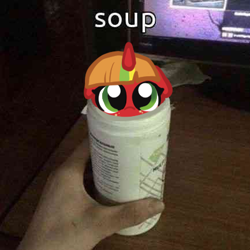 Size: 433x433 | Tagged: safe, artist:nootaz, oc, oc only, oc:soup, pony, unicorn, irl, looking at you, original character do not steal, photo, ponies in real life, ponified animal photo, solo