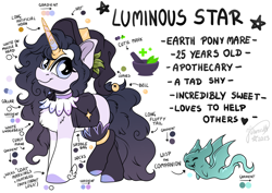 Size: 4093x2894 | Tagged: safe, artist:julunis14, oc, oc only, oc:luminous star, earth pony, pony, artificial horn, bag, bell, chest fluff, clothes, hat, reference sheet, saddle bag, simple background, socks, solo, spirit, white background, witch hat