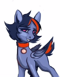 Size: 1992x2560 | Tagged: safe, artist:obscured, pegasus, pony, collar, cute, simple background, smiling, solo, white background