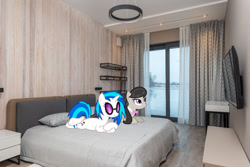 Size: 1280x854 | Tagged: safe, artist:alexiy777, artist:zacatron94, edit, editor:jaredking779, dj pon-3, octavia melody, vinyl scratch, earth pony, pony, unicorn, g4, bed, bowtie, duo, female, hotel room, irl, lying down, mare, photo, ponies in real life, prone, sploot, sunglasses