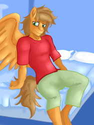 Size: 1620x2160 | Tagged: safe, alternate version, artist:jbond, oc, oc:jacky breeze, pegasus, pony, anthro, anthro oc, bed, bedroom, clothes, male, on bed, pegasus oc, shirt, sitting, solo, spread wings, t-shirt, wings