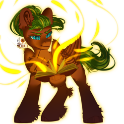 Size: 2500x2500 | Tagged: safe, artist:medkit, oc, oc only, oc:melon heart, pegasus, pony, blue eyes, book, chest fluff, colored eyebrows, colored eyelashes, colored hooves, colored pupils, dark, ear fluff, ears up, eyebrows, eyebrows down, fallout equestria oc, feathered wings, female, folded wings, freckles, glowing, glowing eyes, green mane, heart shaped, high res, hoof fluff, hoof hold, horseshoes, leg fluff, long mane, long tail, looking at someone, mare, pegasus oc, ponytail, quadrupedal, red coat, signature, simple background, sketch, smiling, solo, spell, standing, sternocleidomastoid, striped mane, striped tail, tail, transparent background, two toned coat, wall of tags, warm magic, watermark, wing fluff, wings, yellow magic