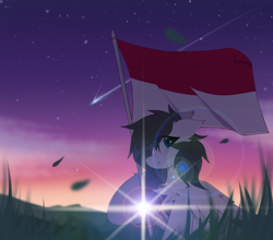 Size: 1500x1318 | Tagged: safe, artist:rieyadraws, oc, oc only, oc:jet blast, pegasus, pony, chest fluff, ear fluff, flag, flag pole, flag waving, floppy ears, grass, independence day, indonesia, looking at you, meteor, mountain, perseids meteor, raised hoof, smiling, smiling at you, sunrise
