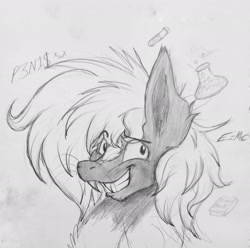 Size: 1925x1909 | Tagged: safe, artist:reekosukanku, oc, oc:reeko, earth pony, pony, skunk, skunk pony, big ears, black and white, bust, fangs, grayscale, looking at you, messy mane, monochrome, pencil drawing, photo, simple background, sketch, sketch dump, smiling, smiling at you, solo, traditional art, wide smile