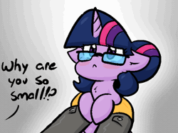 Size: 800x600 | Tagged: safe, alternate version, artist:zutcha, sci-twi, twilight sparkle, human, pony, unicorn, equestria girls, g4, :<, animated, blush sticker, blushing, chest fluff, cute, equestria girls ponified, explain your smolness, female, gif, holding a pony, mare, offscreen character, ponified, sci-twiabetes, smol, solo focus, twiabetes, unicorn sci-twi, what do you want