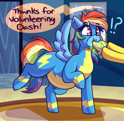 Size: 3409x3341 | Tagged: safe, artist:graphenescloset, rainbow dash, spitfire, pegasus, pony, series:blubberbolt dash, g4, belly, big belly, chubby, clothes, dialogue, drink, drinking, exclamation point, feederism, feeding, high res, incentive drive, inflation, interrobang, offscreen character, question mark, speech bubble, spitfire's office, this will end in weight gain, tubby wubby pony waifu, uniform, weight gain, weight gain sequence, wonderbolts uniform