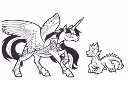 Size: 3448x2328 | Tagged: safe, artist:foldawaywings, spike, twilight sparkle, alicorn, dragon, pony, g4, black and white, brother and sister, clothes, duo, female, grayscale, high res, ink drawing, leg wraps, male, mare, monochrome, quadrupedal spike, realistic anatomy, realistic horse legs, siblings, simple background, traditional art, twilight sparkle (alicorn), white background