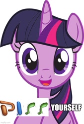 Size: 500x741 | Tagged: safe, twilight sparkle, alicorn, pony, g4, caption, expand dong, exploitable meme, image macro, meme, microsoft, powerpoint, shitposting