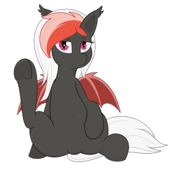 Size: 3180x3268 | Tagged: safe, artist:modera, oc, oc only, oc:amaryllis, bat pony, pony, belly, belly button, high res, looking at you, simple background, sitting, solo, transparent background, underhoof