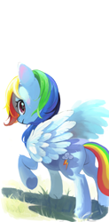 Size: 1971x4000 | Tagged: safe, artist:flvski, rainbow dash, pegasus, pony, g4, butt, female, high res, mare, plot, solo