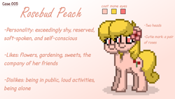 Size: 1920x1080 | Tagged: safe, oc, oc only, oc:rosebud peach, earth pony, pony, pony town, gradient background, multiple heads, mutant, photoshop, reference sheet, solo, two heads