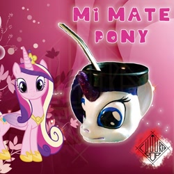 Size: 1080x1080 | Tagged: safe, artist:culturapopmdq, princess cadance, alicorn, pony, unicorn, g4, 3d print, argentina, irl, mate, photo, selling, store, straw