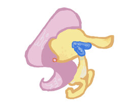 Size: 1200x1014 | Tagged: safe, artist:ponywizards, fluttershy, pegasus, pony, g4, simple background, solo, white background