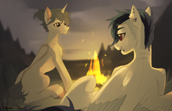 Size: 4246x2752 | Tagged: safe, artist:teturirusu, oc, oc:dia, pegasus, pony, unicorn, campfire, commission, concave belly, duo, looking at each other, looking at someone, night, piercing, slender, thin, ych result