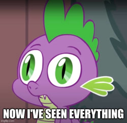 Size: 519x500 | Tagged: safe, artist:hotdiggedydemon, edit, spike, dragon, .mov, g4, caption, i've seen some shit, image macro, male, pony.mov, reaction image, solo, text