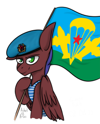 Size: 3169x3900 | Tagged: safe, artist:ashel_aras, oc, oc only, oc:vodorod, pegasus, pony, beret, flag, hat, high res, military, russia, simple background, sketch, solo, white background